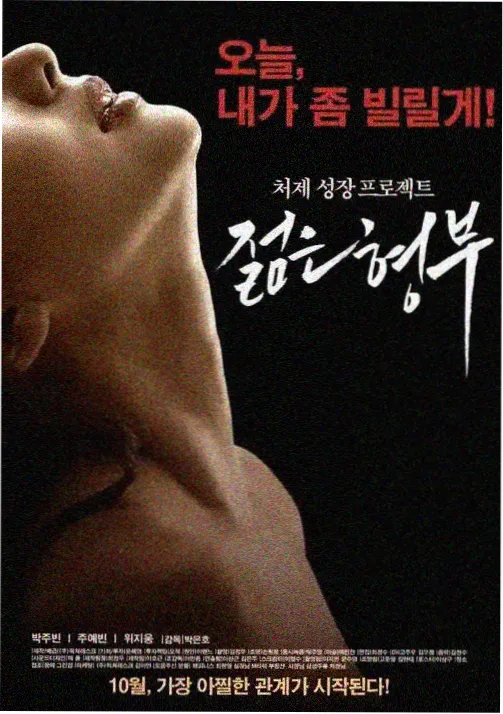 凌晨洗衣房剧集海报